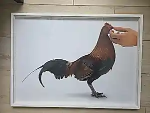AcheterKoen Vanmechelen - Feeding Chicken? Enchérissez de 725!