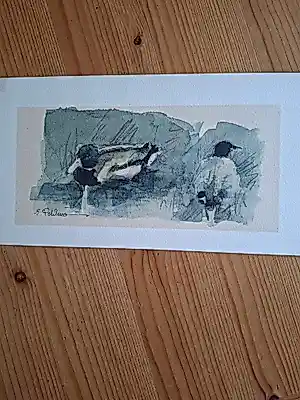 Peter Polderman - Eend en meerkoet op het water kopen? Bied vanaf 35!