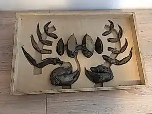 Krijn Giezen - Bestek voor het kraken en leegpeuteren van schaaldieren (8 personen), kaufen? Bieten Sie von 1250!