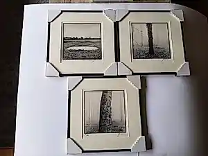 Buy Ralph Janowski - 3 werken, van Ralph Janowski, Boom in de ochtend mist nieuw ingelijst? Bid from 100!