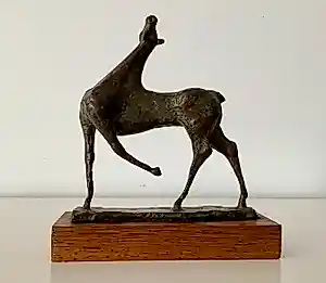 Piet van Heerden - Paard vendu pour 705€ !