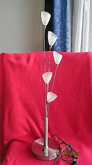Jan des Bouvrie - Tulpenlamp. verkocht voor € 45!