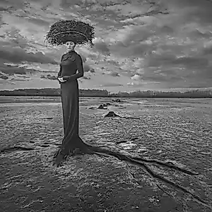 Dariusz Klimczak - 'Leeg nest' (2013) kaufen? Bieten Sie von 85!