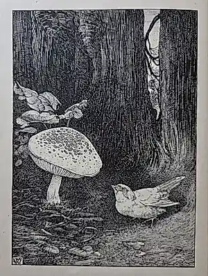 Buy Ludwig Willem Reijmert Wenckebach - Diverse illustraties.? Bid from 20!
