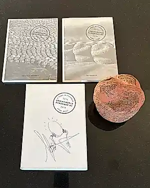 Koen Vanmechelen - Walking egg kopen? Bied vanaf 450!
