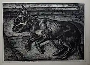 Aart van Dobbenburgh - Hond. kopen? Bied vanaf 39!