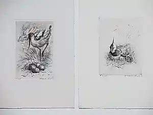 Buy Maarten Langbroek - Kluut & Kievit - 2 Etsen? Bid from 52!