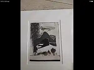 Peter Zuur - Landschap verkauft für € 40!