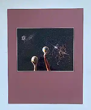 Buy Alex Vermeulen - Wild romance about still a live? Bid from 45!