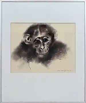 Bart van Oijen - Chimpansee met bruine ogen kopen? Bied vanaf 60!