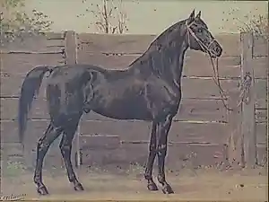 Buy Otto Eerelman - HET TRAKEHNER PAARD / CHROMOLITHO / 54x69cm / KADER / 1898? Bid from 65!