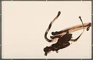 Antoni Tapies - Fraaie Litho - 1993 - Gesigneerd - in Swiss hand-made case kopen? Bied vanaf 690!