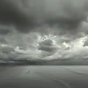 Philip McKay - 'Wat had kunnen zijn' (2016) kaufen? Bieten Sie von 85!