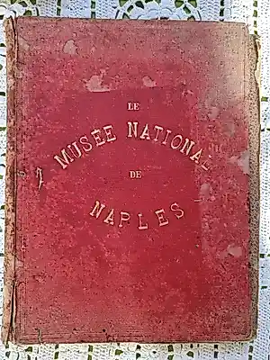 Antiquarisch Boek - Les monuments du Musée National de Naples kopen? Bied vanaf 30!