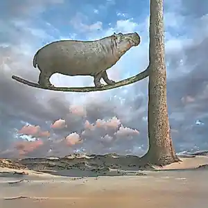 Dariusz Klimczak - Evenwicht (2012) kaufen? Bieten Sie von 85!