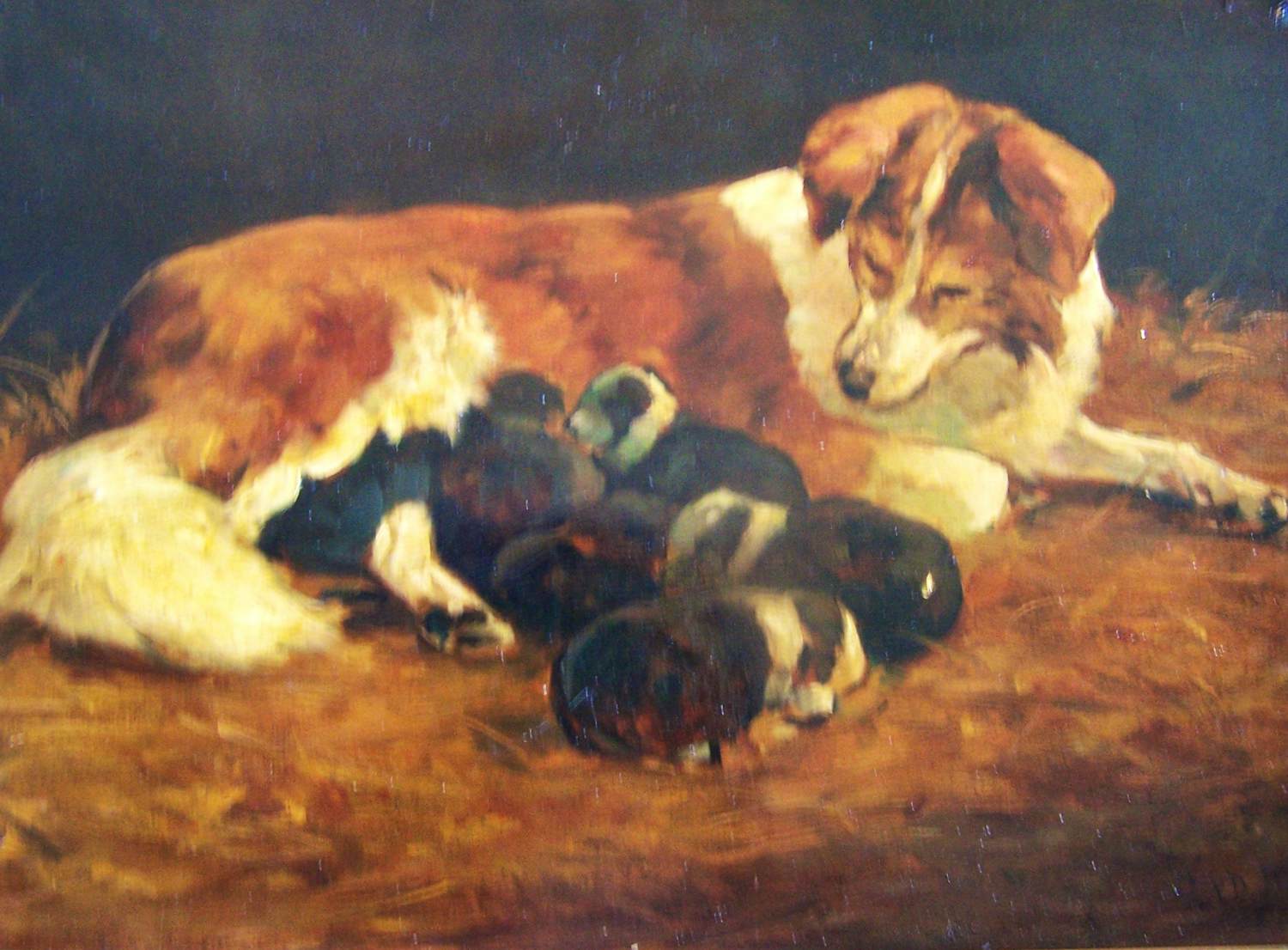 Onbekend - Moederhond met puppies verkocht voor € 75!