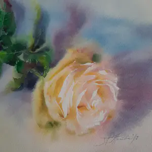 Onbekend - De zachgele roos kopen? Bied vanaf 50!