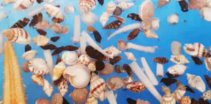 Riccardo Marzi - Model: Ocean Art.616-XST kopen? Bied vanaf 25!