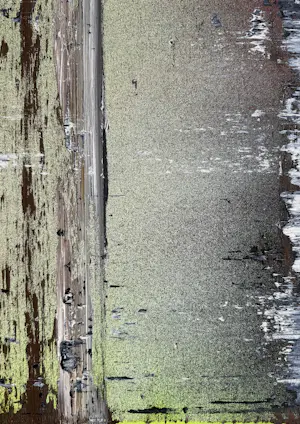 Koen Delaere - Olieverf op doek | 'Zonder titel' | 2009 kopen? Bied vanaf 2500!