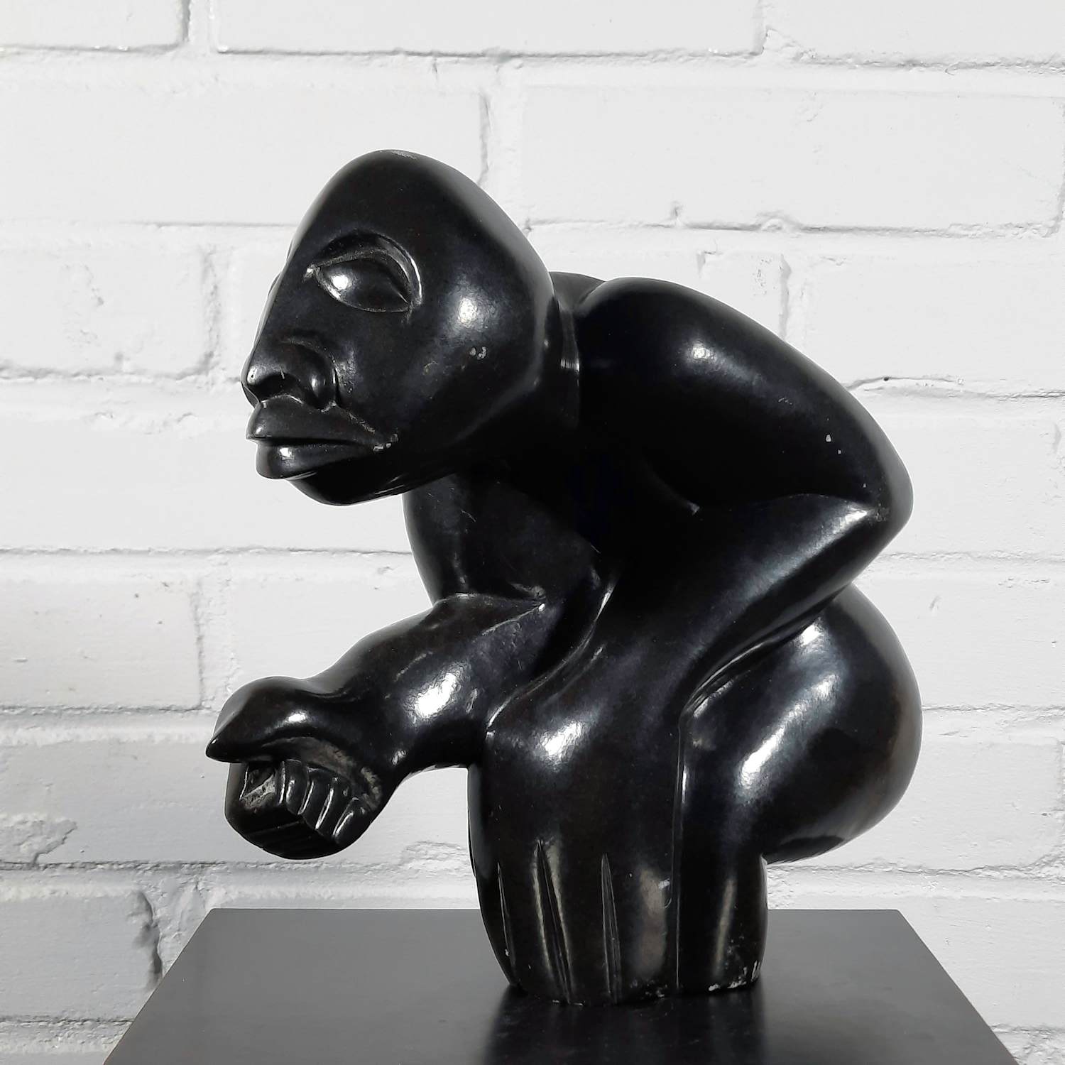 Washington Msonza - gepolijst zwarte serpentijn - 25819 kopen? Bied vanaf 150!