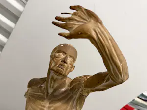 Jacques-Eugene Caudron - Écorché combattant kopen? Bied vanaf 350!