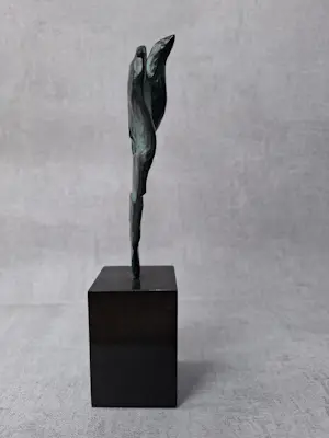 Brons (Onbekend) - Vogel kopen? Bied vanaf 50!