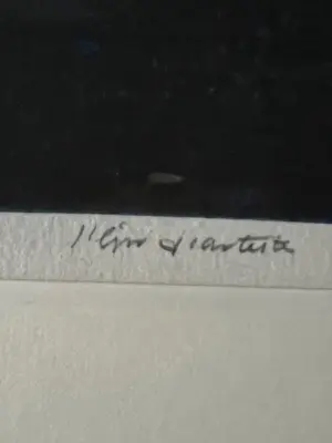 Ru van Rossem - Steenlied 4/35 kopen? Bied vanaf 120!