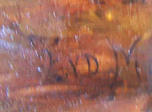 Onbekend - Moederhond met puppies kopen? Bied vanaf 75!