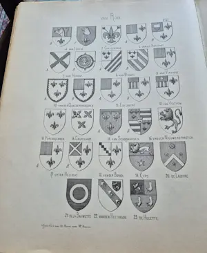 Willem Boonen - De geschiedenis van Leuven kopen? Bied vanaf 25!