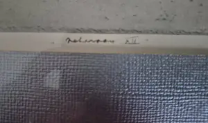 Dirk Baksteen - Kempische hoeve kopen? Bied vanaf 30!