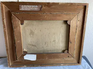 Gerard Krol - Boer met kippen kopen? Bied vanaf 75!