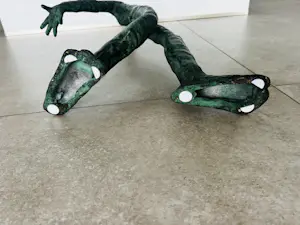 Jitse Sikkema - Butoh danser 1 kopen? Bied vanaf 999!