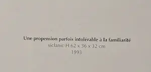 Reinhoud D'Haese - Une Propension parfois intolérable à la familiarité kopen? Bied vanaf 6000!