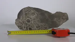 Onbekend - Stenen beeldje van een walvis kopen? Bied vanaf 50!