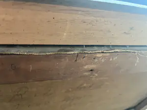 Egbert Schaap - Molen landschap kopen? Bied vanaf 100!