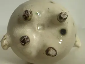 Onbekend - Ram van keramiek kopen? Bied vanaf 20!