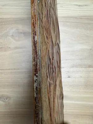 Curiosa - Veulen in galop kopen? Bied vanaf 20!