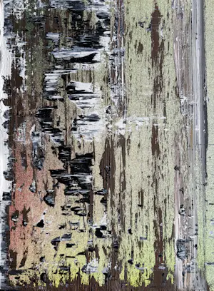 Koen Delaere - Olieverf op doek | 'Zonder titel' | 2009 kopen? Bied vanaf 2500!