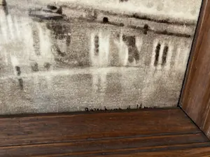 N.V. Haagsche Plateelfabriek Rozenburg - Stadsaanzicht Den Haag? kopen? Bied vanaf 300!