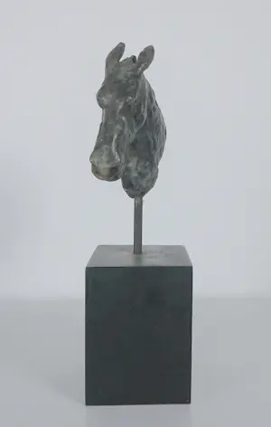 Brons (Onbekend) - Paardenhoofd kopen? Bied vanaf 100!