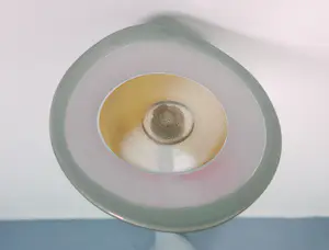 Willem Heesen - (toegeschreven aan) Glasobject, Poliep kopen? Bied vanaf 20!