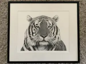 AcheterHarmen Kooistra - Tijger? Enchérissez de 100!