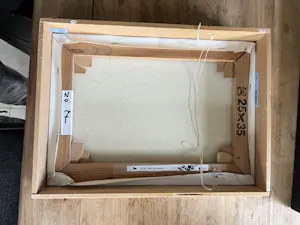 Peer Mijland - In een benarde situatie kopen? Bied vanaf 100!