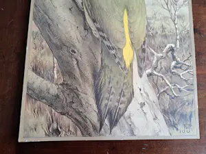 Jan Voerman (jr.) - Vogel kopen? Bied vanaf 40!