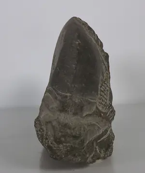 Onbekend - Stenen beeldje van een walvis kopen? Bied vanaf 50!