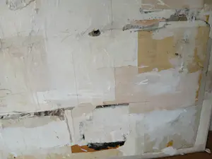 Ron van der Werf - Onbekend kopen? Bied vanaf 450!