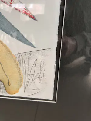 Salvador Dali - "Mémoires de Casanova" kopen? Bied vanaf 80!