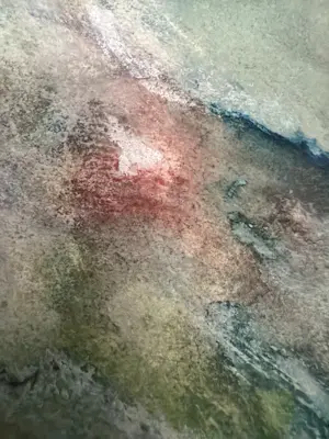 Kees van de Wal - aquarel kopen? Bied vanaf 55!