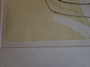 Hans Vredegoor - Celestins I I kopen? Bied vanaf 50!