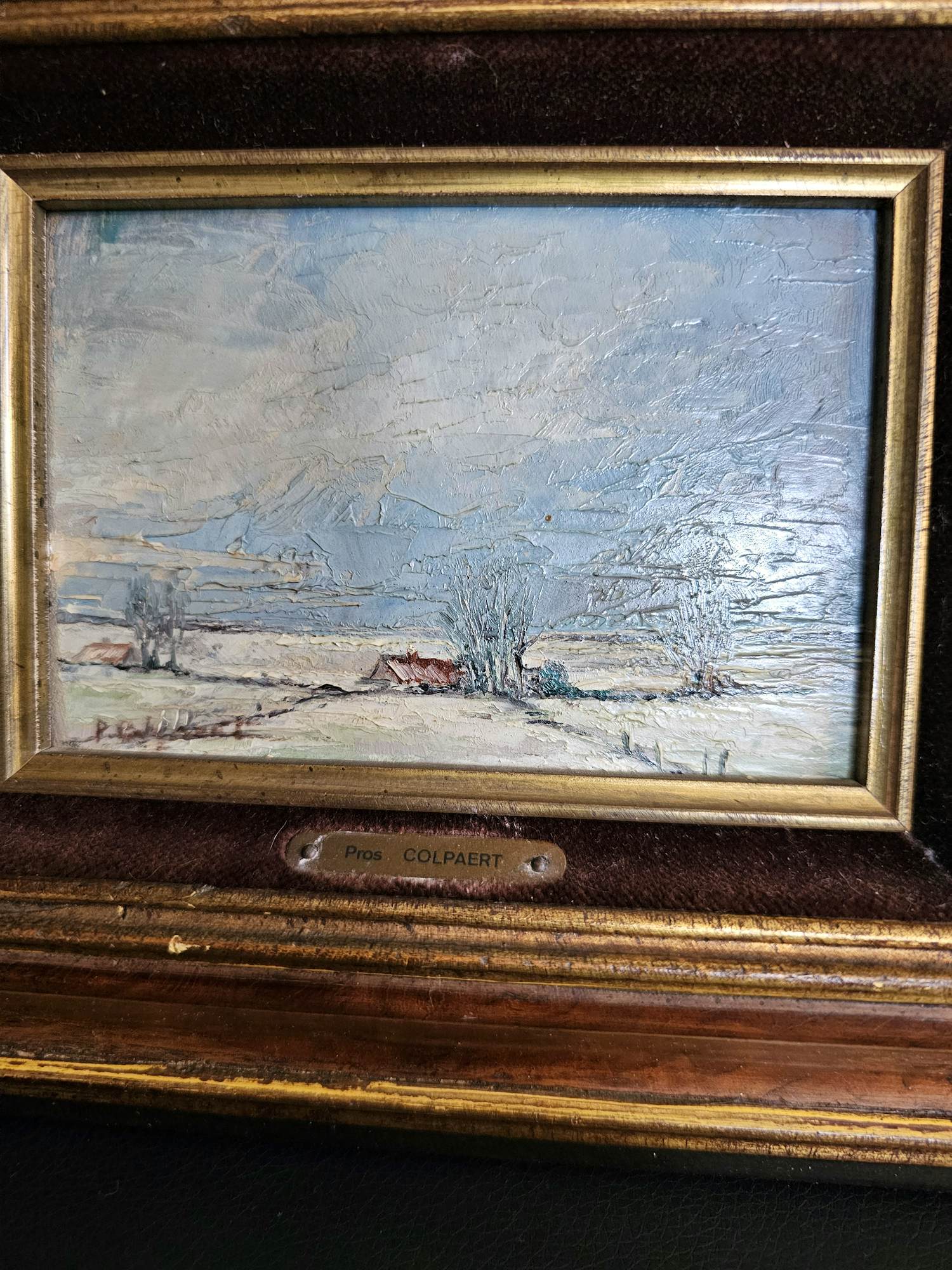 Pros Colpaert - Sneeuwlandschap kopen? Bied vanaf 50!